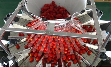 Plastic Tray Multihead Weigher Packing Machine Automatic Filling
